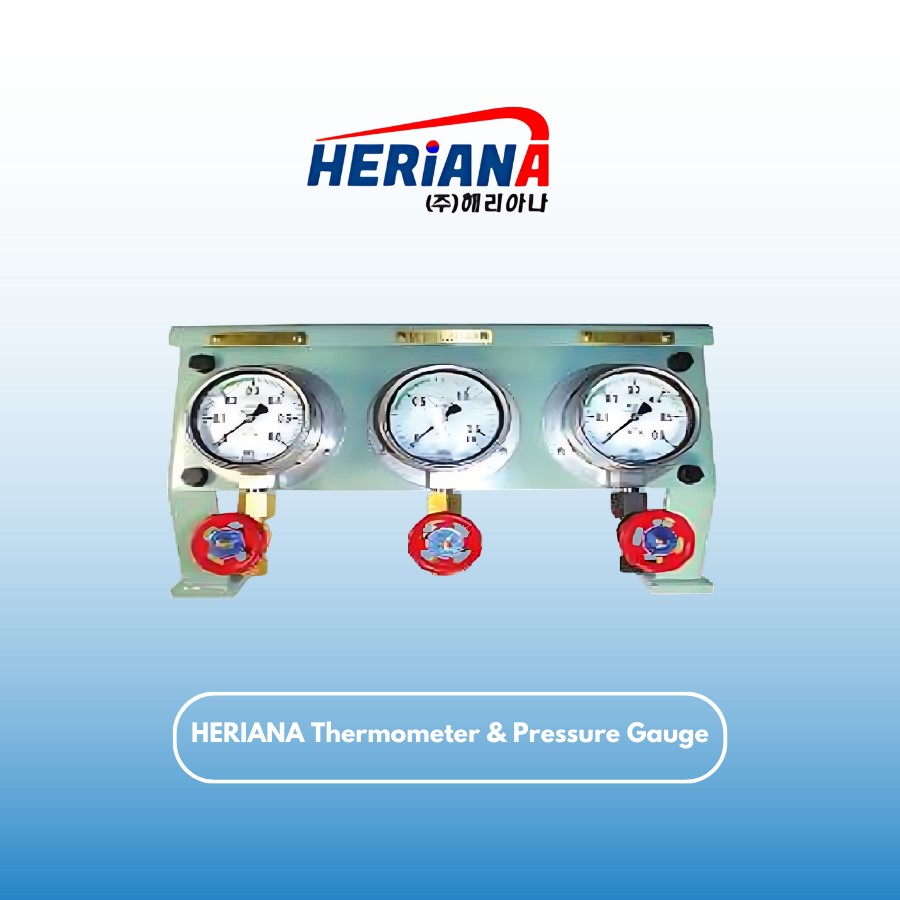 HERIANA Thermometer & Pressure Gauge